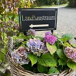 Mit 85 M I Terrasse & Garten I